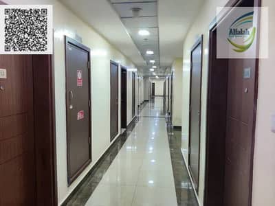 1 Спальня Апартаменты Продажа в Аль Рашидия, Аджман - WhatsApp Image 2025-07-20 at 11.50. 53 AM. jpeg