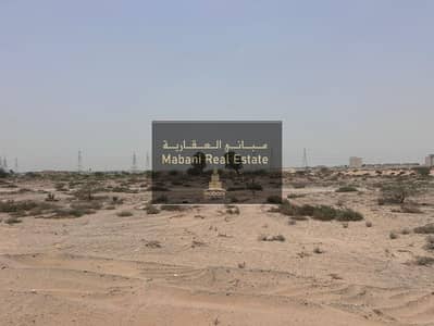 Plot for Sale in Al Maliha, Sharjah - cd926cfc-6225-40ac-b2fe-c1dfb9b1dcee. jpg