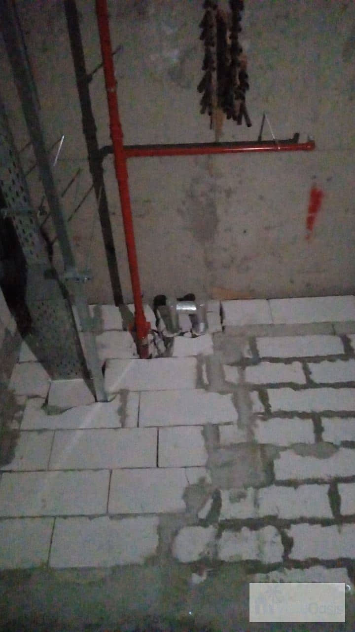 19 1000430484. jpg