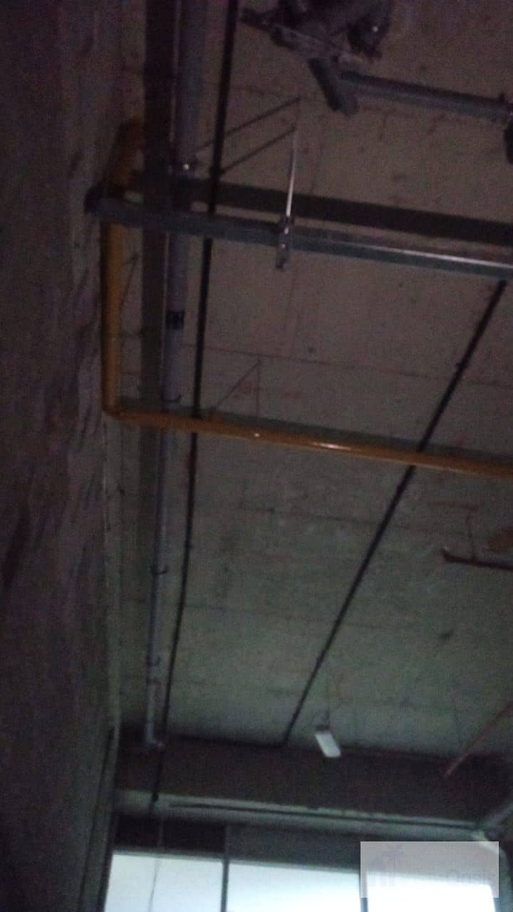 20 1000430492. jpg