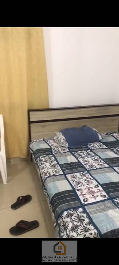 استوديو  للايجار في النباعة، الشارقة - IMG-20250906-WA0028. jpg