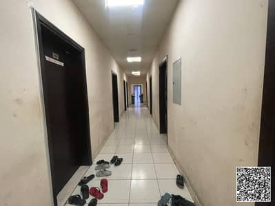 Labour Camp for Rent in Al Jurf, Ajman - WhatsApp Image 2025-09-03 at 6.45. 05 PM (1). jpeg