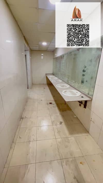 Labour Camp for Rent in Al Jurf, Ajman - WhatsApp Image 2025-09-04 at 5.53. 38 PM (1). jpeg