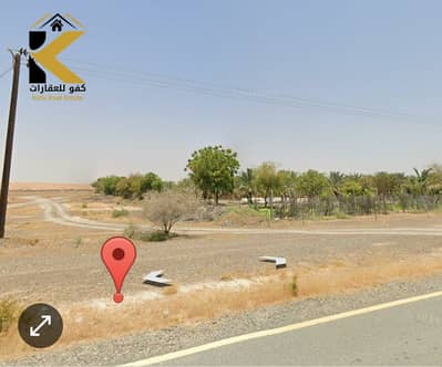 ارض سكنية  للبيع في المنامة، عجمان - IMG-20250908-WA0008. jpg