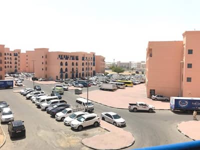 1 Bedroom with Balcony For Rent Persia cluster 32k by 4 cheques 1 Bedroom with Balcony For Rent Persia cluster 32k by 4 cheques