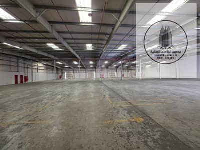 Warehouse for Rent in Umm Al Thuoob, Umm Al Quwain - IMG-20250813-WA0008. jpg