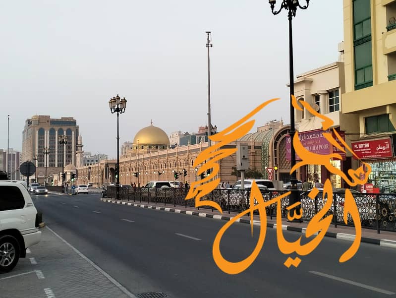 4 WhatsApp Image 2024-06-30 at 9.11. 44 AM. jpeg