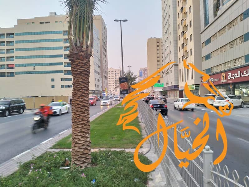 9 WhatsApp Image 2024-06-30 at 9.11. 53 AM. jpeg