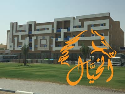 11 Bedroom Building for Sale in Al Bataeh, Sharjah - WhatsApp Image 2025-01-26 at 5.40. 59 PM. jpeg