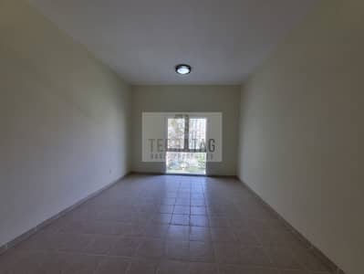 استوديو  للايجار في ديسكفري جاردنز، دبي - WhatsApp Image 2025-03-12 at 12.18. 21 - Copy. jpeg