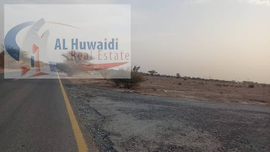 ارض سكنية  للبيع في المنامة، عجمان - IMG-20250911-WA0001. jpg