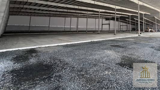Warehouse for Rent in Umm Al Thuoob, Umm Al Quwain - 2. jpeg