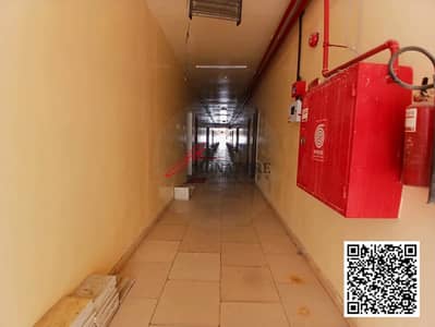 艾尔朱尔夫， 阿治曼 员工宿舍待租 - WhatsApp Image 2025-09-11 at 7.09. 48 PM. jpeg