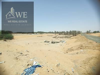 ارض سكنية  للبيع في الحليو، عجمان - صورة واتساب بتاريخ 2025-06-19 في 22.32. 55_e1bae99d. jpg