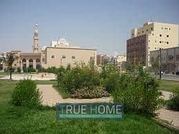 ارض سكنية  للبيع في الزبير، الشارقة - 7273-الزبير بن. jpg