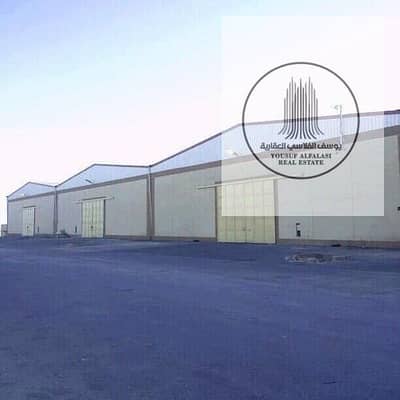 Warehouse for Rent in Umm Al Thuoob, Umm Al Quwain - صورة واتساب بتاريخ 1447-03-21 في 12.32. 29_e8759ff5. jpg