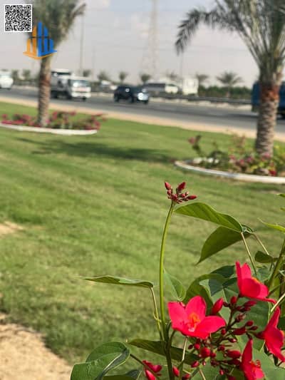 Plot for Sale in Hay Al Dibdibah South, Sharjah - photo_5906758348143971379_y. jpg
