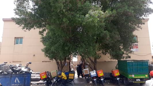 Labour Camp for Rent in Industrial Area, Sharjah - WhatsApp Image 2025-09-14 at 1.34. 58 PM. jpeg