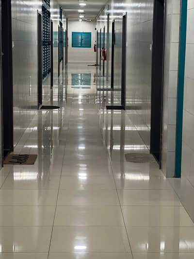2 Bedroom Flat for Rent in Al Qasimia, Sharjah - WhatsApp Image 2025-09-14 at 11.13. 51 AM. jpeg