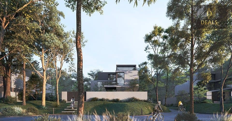7 robinia. jpg