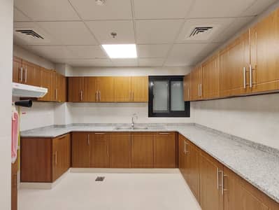 2 Bedroom Apartment for Rent in Al Warqaa, Dubai - 1000415800. jpg