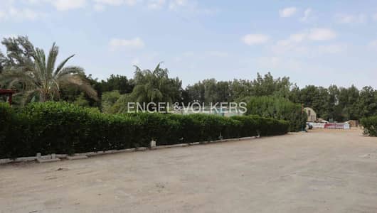 Plot for Rent in Al Awir, Dubai - Agricultural > Greenhouse > Farming > Land