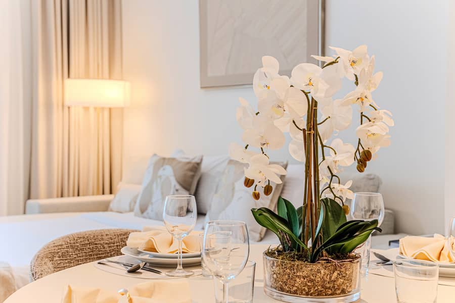 1BD Apartment at Creek Beach, Perfect for 4