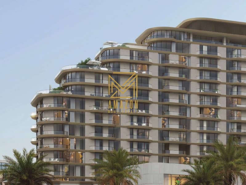 5 mirasol 4. jpg