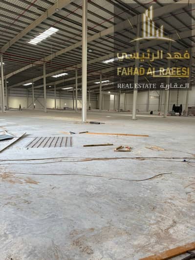 Warehouse for Rent in Umm Al Thuoob, Umm Al Quwain - IMG-20250816-WA0142. jpg