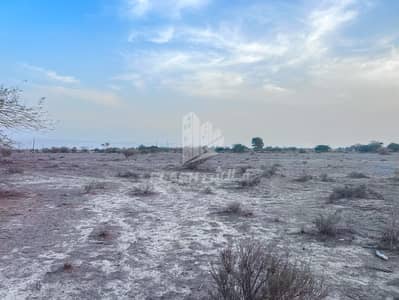 Plot for Sale in Khatt, Ras Al Khaimah - IMG_0950. jpg
