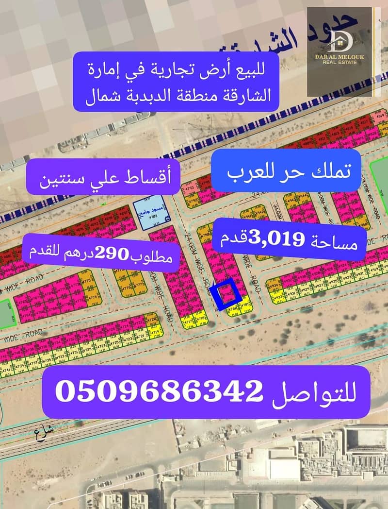 3 WhatsApp Image 2025-09-17 at 13.53. 32_72c9f692. jpg