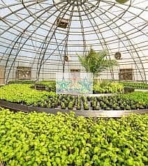 3 Cпальни Вилла в аренду в Сустейнэбл Сити, Дубай - SUSTAIN GREEN. jpg