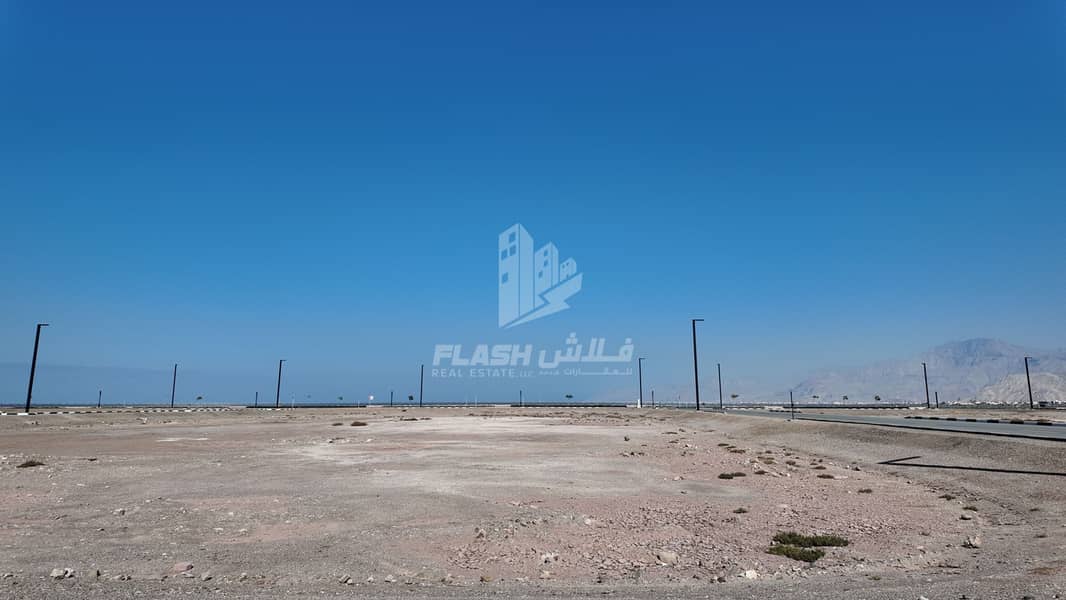 5 DJI_20250105130319_0032_D 2. JPG