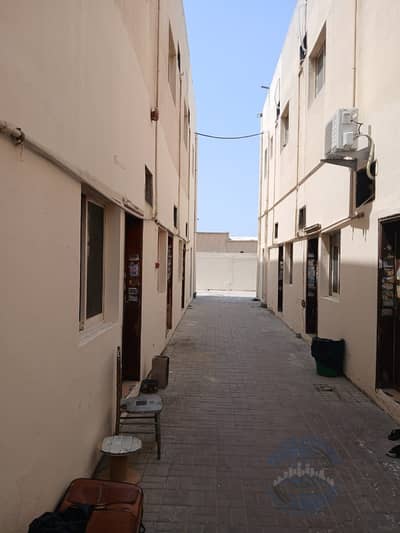 Labour Camp for Rent in Al Jurf, Ajman - WhatsApp Image 2025-09-18 at 12.37. 49 PM. jpeg