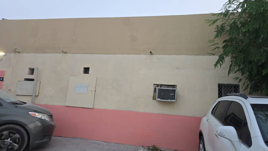1000825267. jpg