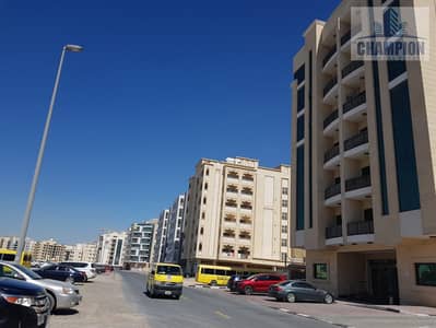 2 Bedroom Apartment for Rent in Al Warqaa, Dubai - 483b7bfc-e2a3-42e3-93de-c88ad109bf48. jpg