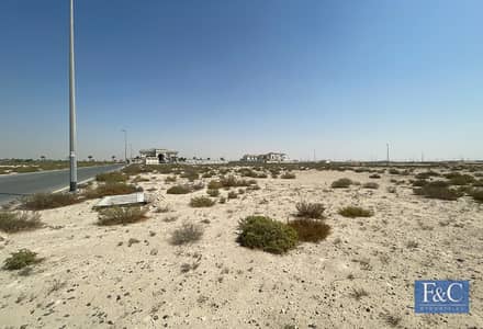 ارض سكنية  للبيع في جبل علي، دبي - ارض سكنية في تلال جبل علي،جبل علي 3400000 درهم - 12584396