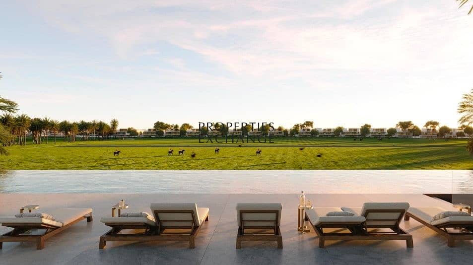 4 Polo-Fields. jpg