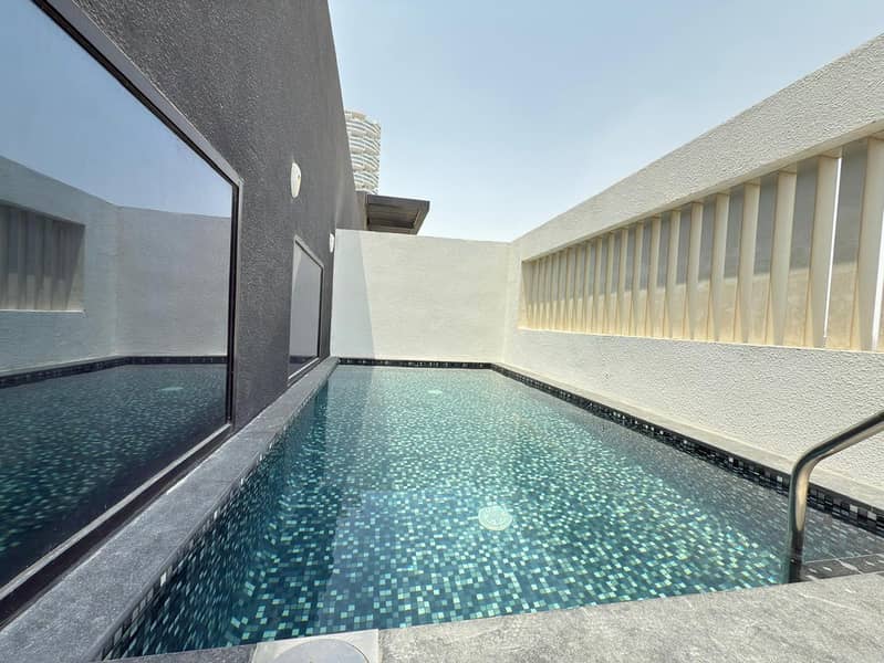 Brand New Spacious Apartment in Family Building With Pool