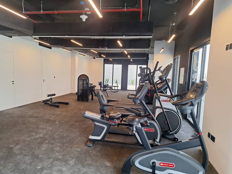 Brand New Spacious Apartment in Family Building With Pool - Image 17