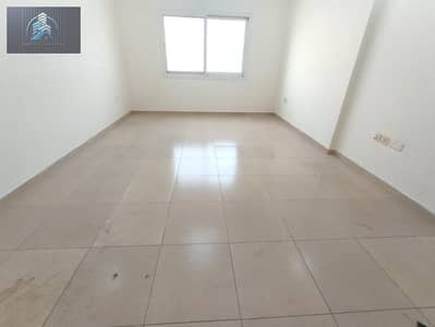 2 Bedroom Flat for Rent in Al Warqaa, Dubai - IMG-20241228-WA0020. jpg