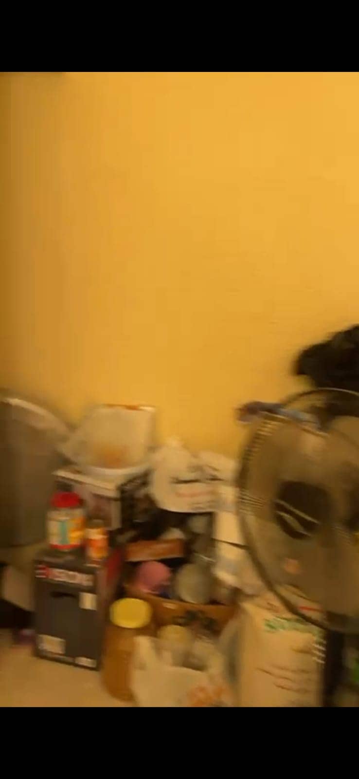 11 1000827121. jpg