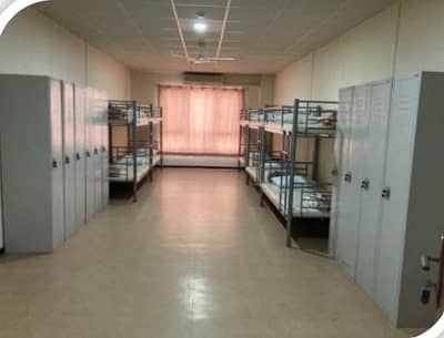 阿尔马弗拉克， 阿布扎比 员工宿舍待租 - room 8. jpg