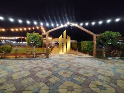 Other Commercial for Sale in Al Zubair, Sharjah - IMG-20250920-WA0266. jpg