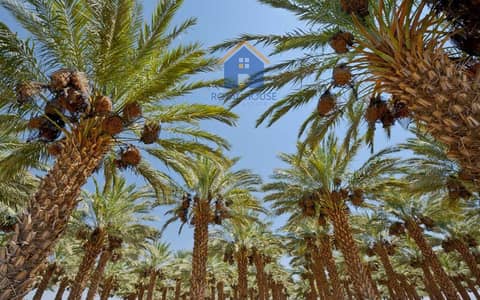 阿尔达伊德， 夏尔迦 混合用途用地待售 - Al-Dhaid-Oasis-AR04032021-1-1024x640. jpg
