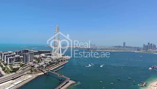 朱美拉海滩住宅（JBR）， 迪拜 2 卧室单位待租 - IMG20250508112659. jpg