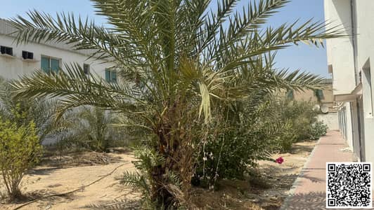 Industrial Land for Sale in Al Jurf, Ajman - 003. jpg