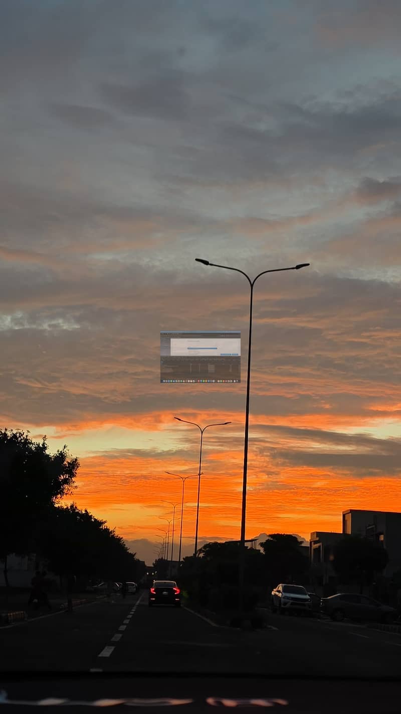 45176. jpg