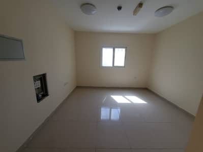 استوديو  للايجار في الراشدية، عجمان - WhatsApp Image 2025-02-10 at 12.06. 12 PM. jpeg