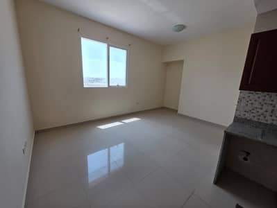 استوديو  للايجار في الجرف، عجمان - IMG-20250913-WA0146. jpg